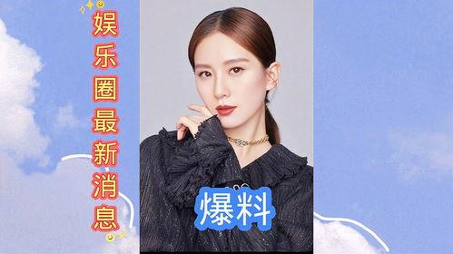 关于娱乐圈最新爆料,揭秘明星背后的惊人真相